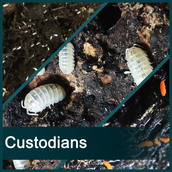 Custodians