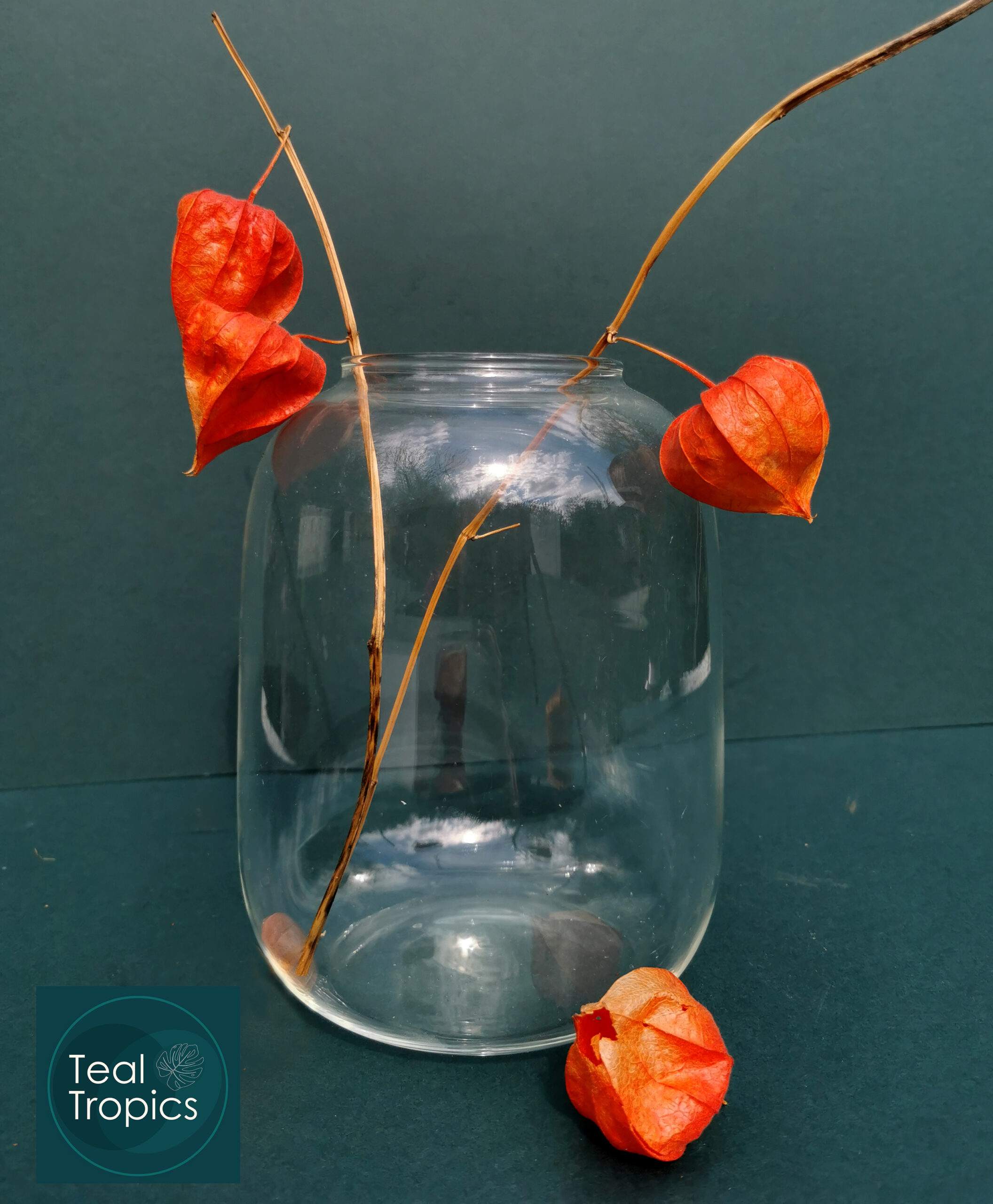 3250ml Large Wide Glass Jar - Image 2