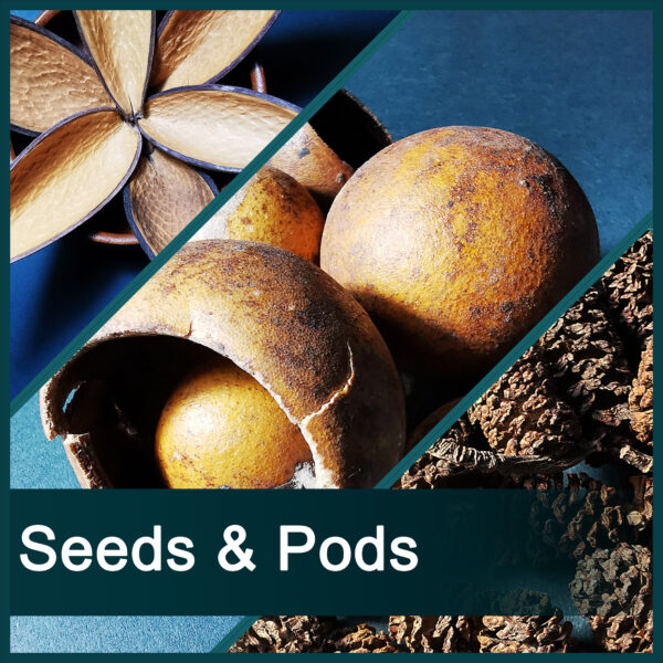 Seeds & Pods