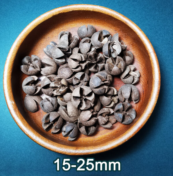 Wallachi Pods - Image 2