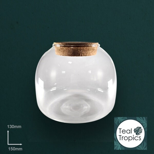 Glass Dome
