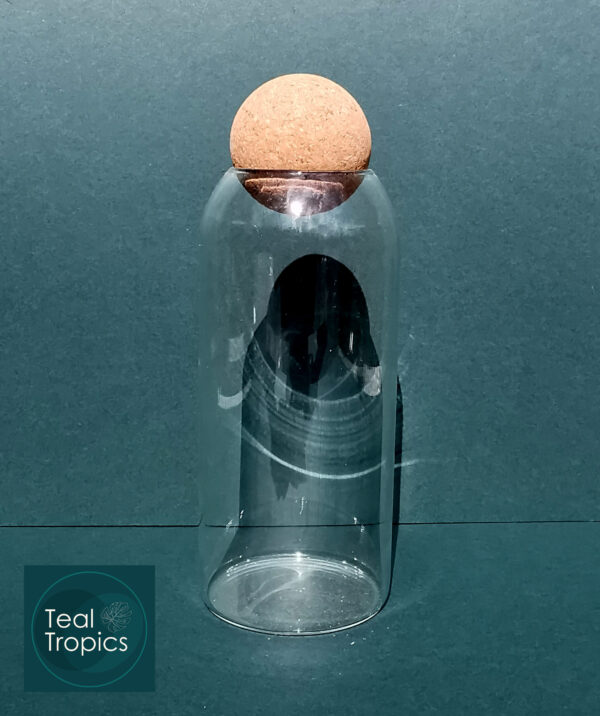 1200ml Glass Jar with Cork Stopper