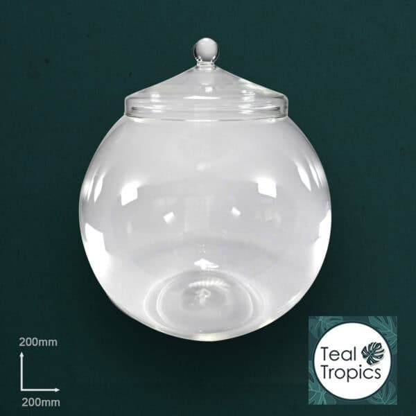Large Globe Glass Jar