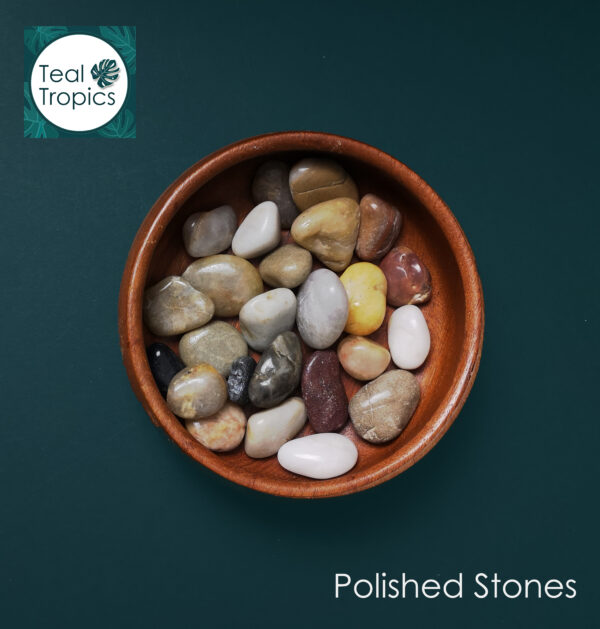 Polished River Stones - Image 2