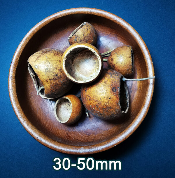 Kuchipal Pods - Image 2