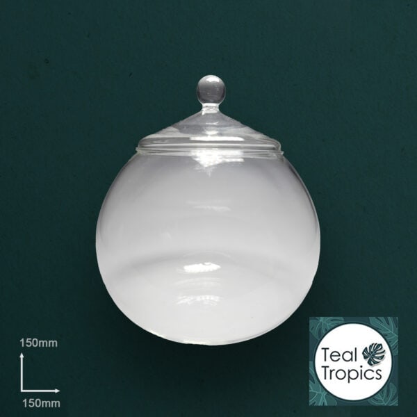 Small Glass Globe