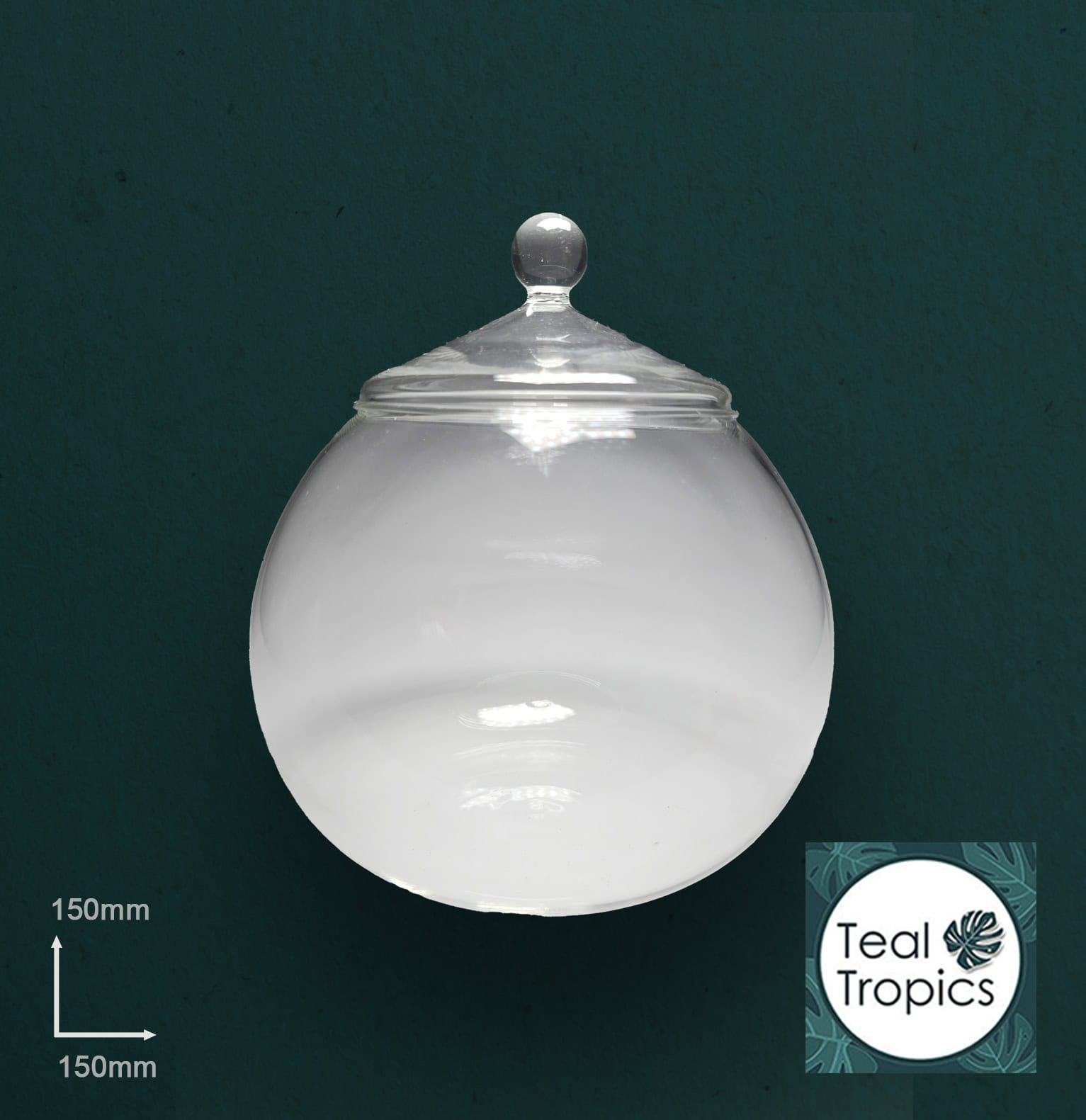 Small Glass Globe