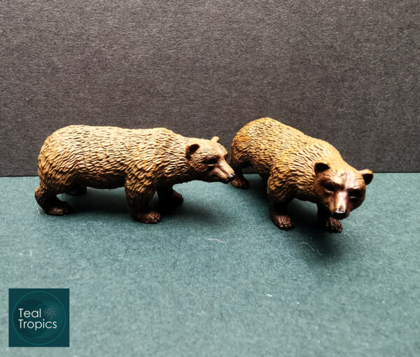 Bears