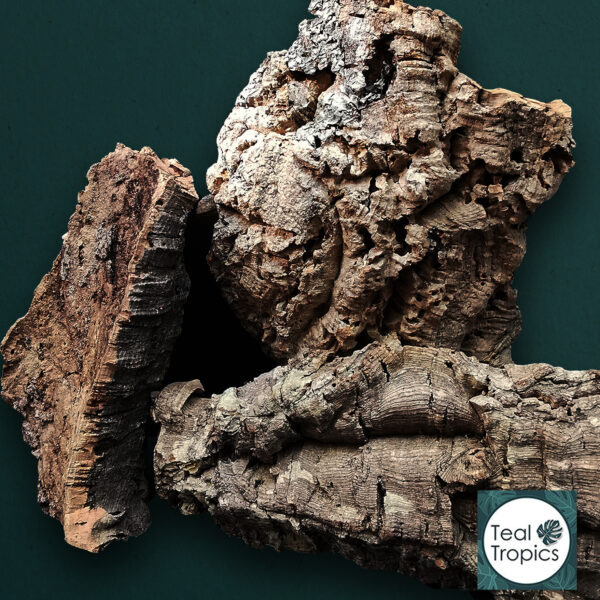 Cork Bark Pieces