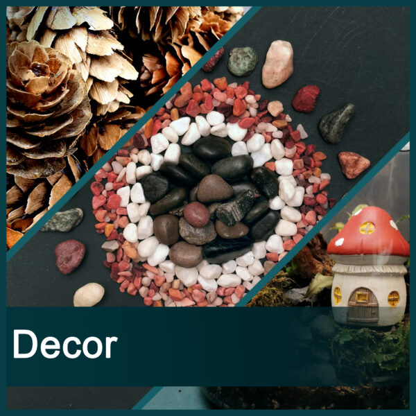 Decor