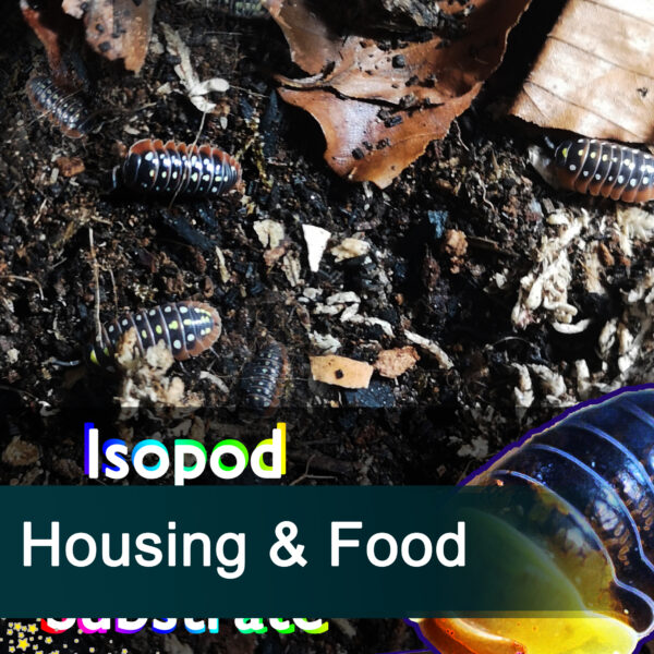 Housing & Food