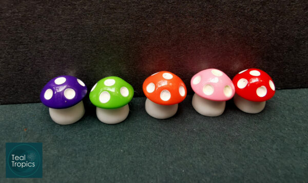 Tiny Mushrooms - Image 2
