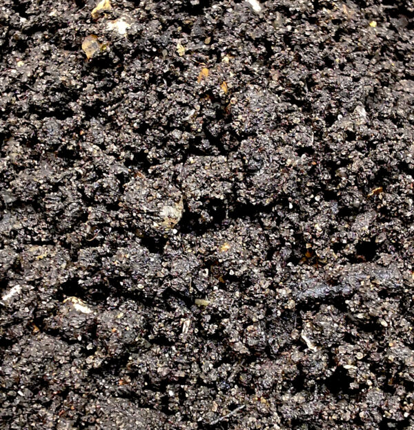 Aquarium Soil