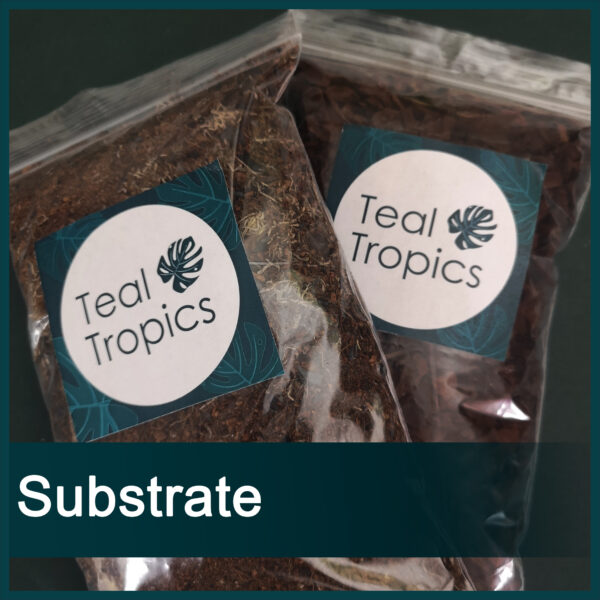 Substrate