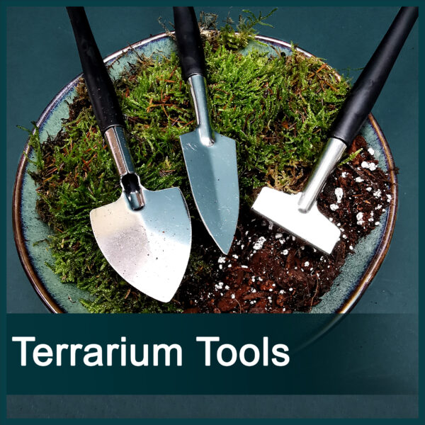 Terrarium Tools