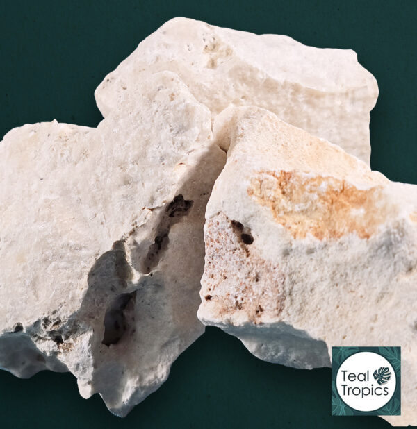 Marine Rock