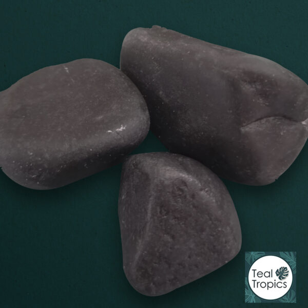 Black Venom Stone