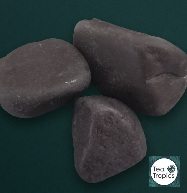 Black Venom Stone