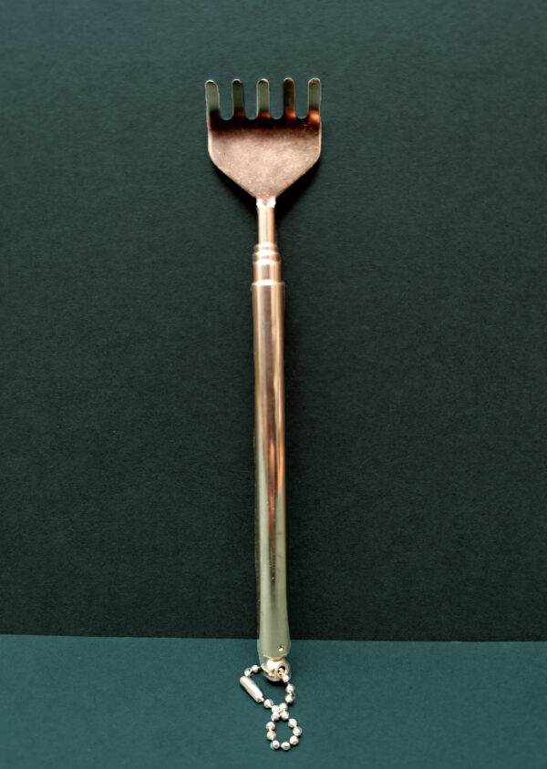 Telescopic Rake - Image 2