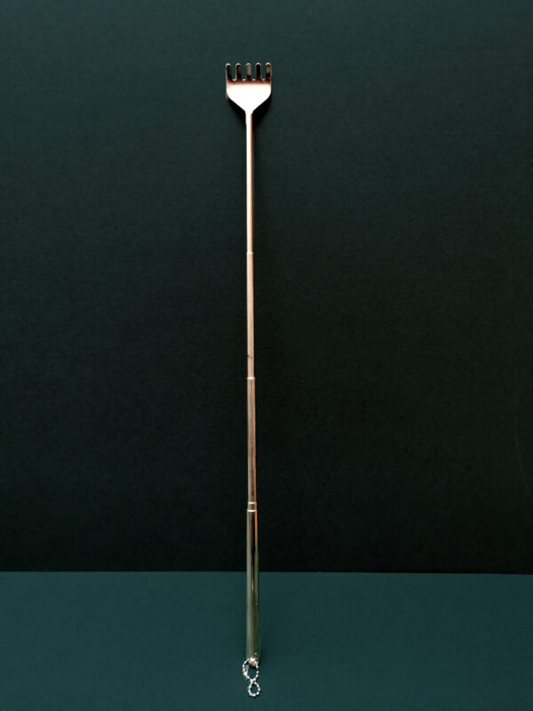 Telescopic Rake