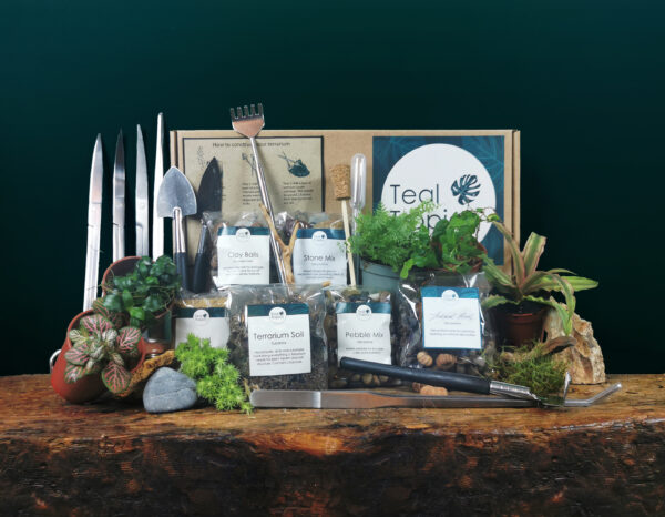 Tools & Plants Sets - Image 4