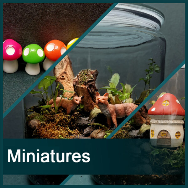 Miniatures