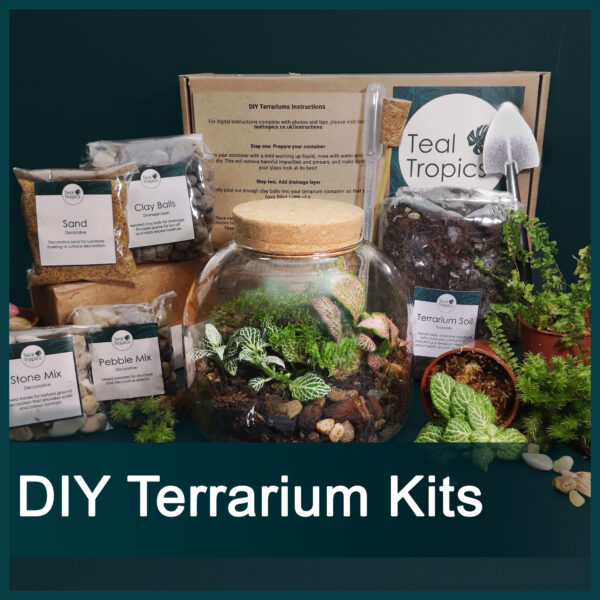 DIY Terrarium Kits