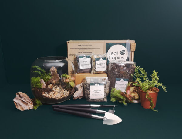Wide Bowl Terrarium Kit - Image 3