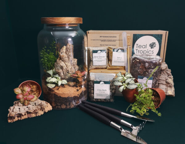 Tall Jar Terrarium Kit - Image 2