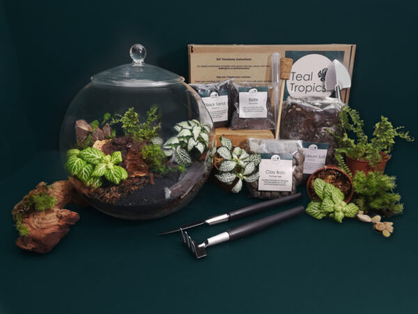 Large Glass Globe Terrarium Kit - Image 2