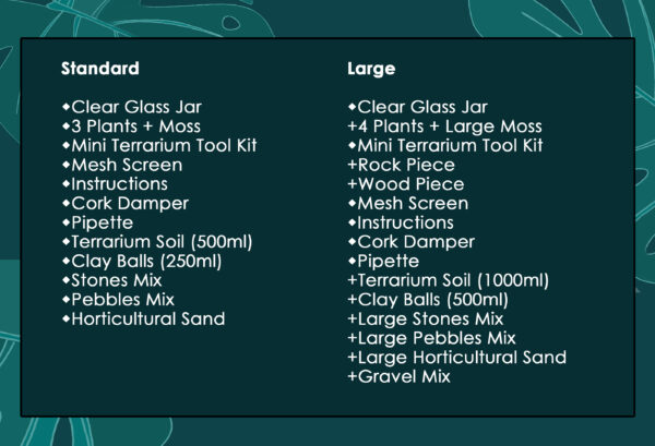 Large Open Vase Terrarium Kit - Image 3