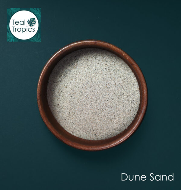 Dune Sand - Image 2
