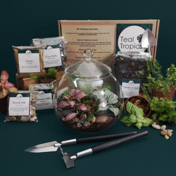 Glass Globe Terrarium Kit