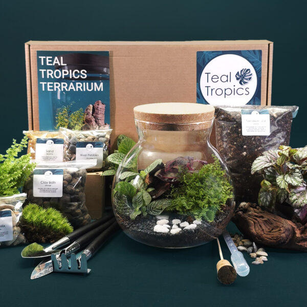 Glass Sphere Terrarium Kit