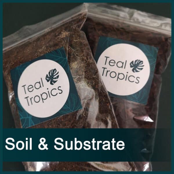 Soil & Substrate