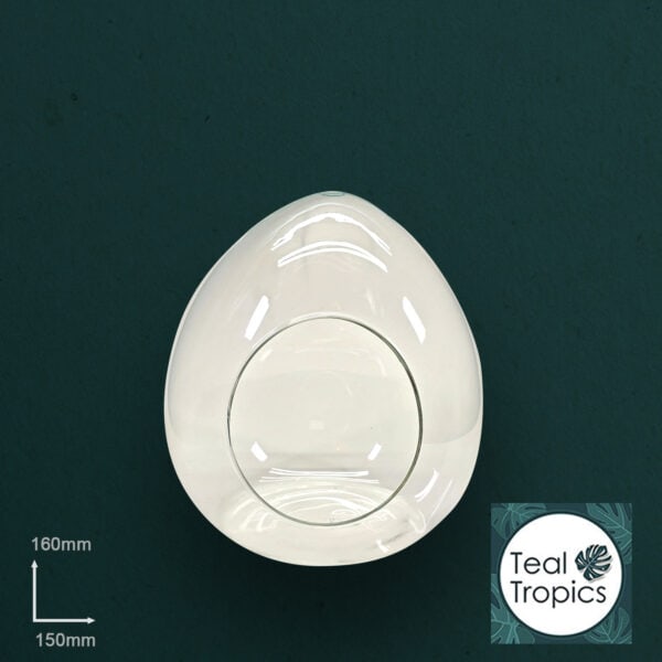 Open Egg Glass Jar