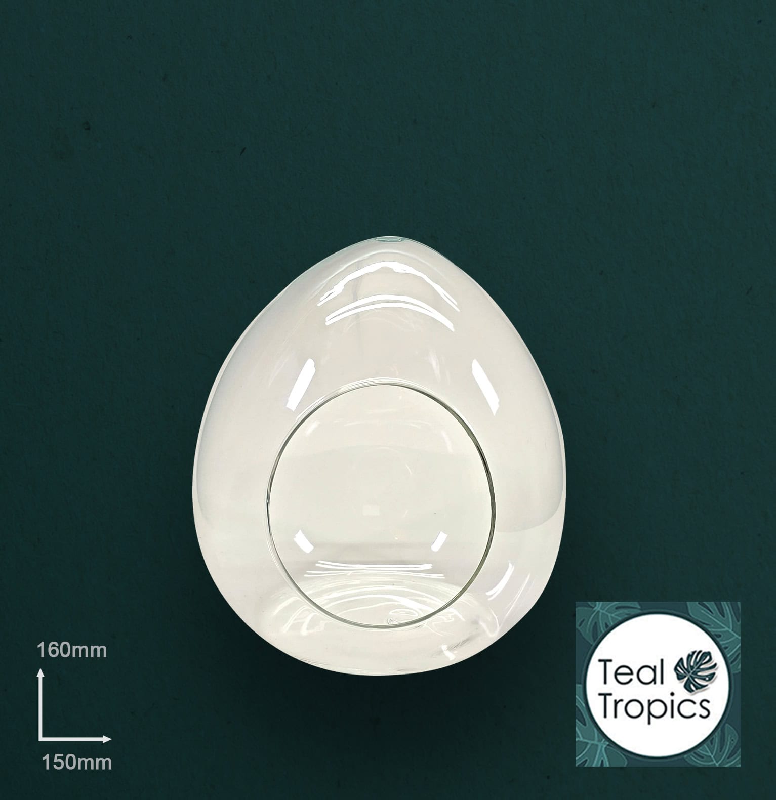 Open Egg Glass Jar