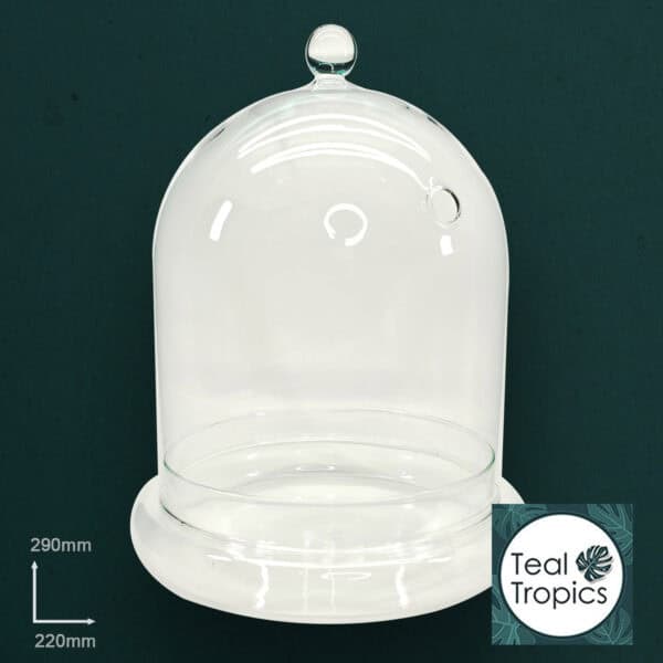 Extra Large Clouche Bell