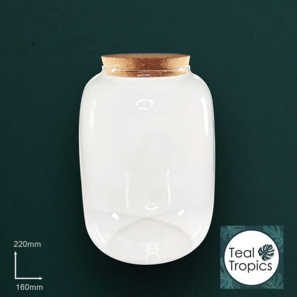 Large Glass Jar with Cork Stopper