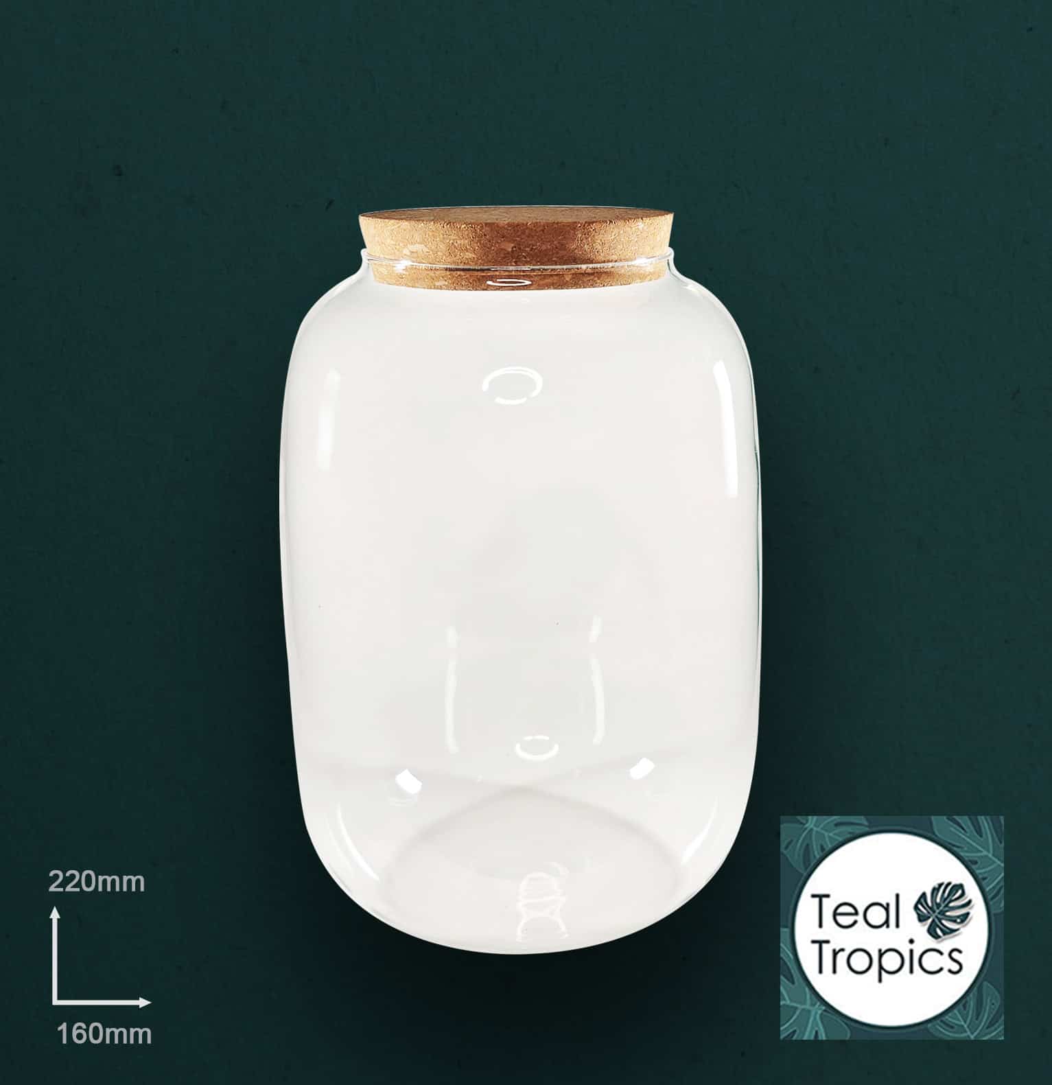 Large Glass Jar with Cork Stopper