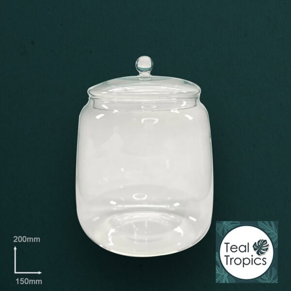 Clear Rounded Glass Jar