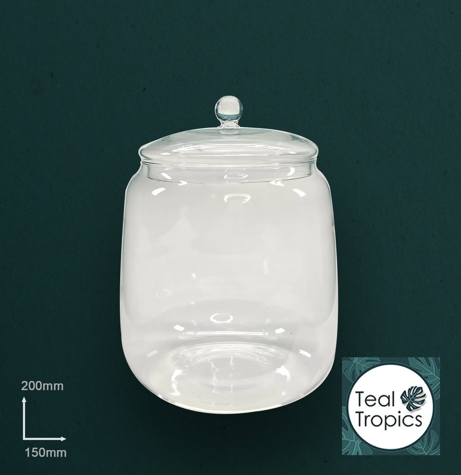 Clear Rounded Glass Jar