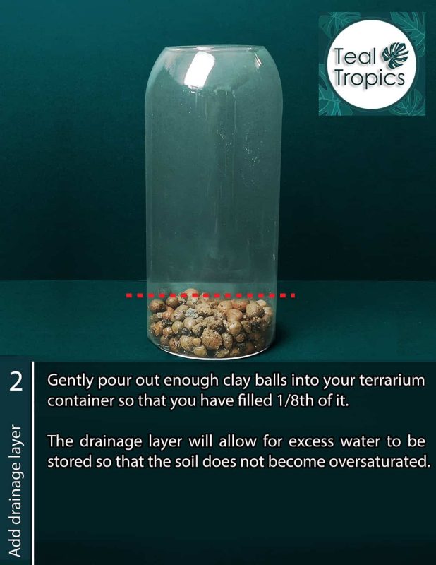 Clear glass terrarium with clay balls for drainage and soil moisture control.
