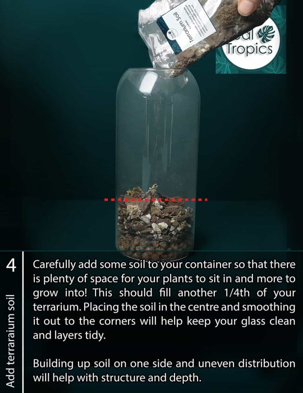 Adding soil to terrarium for plant growth and stability.
