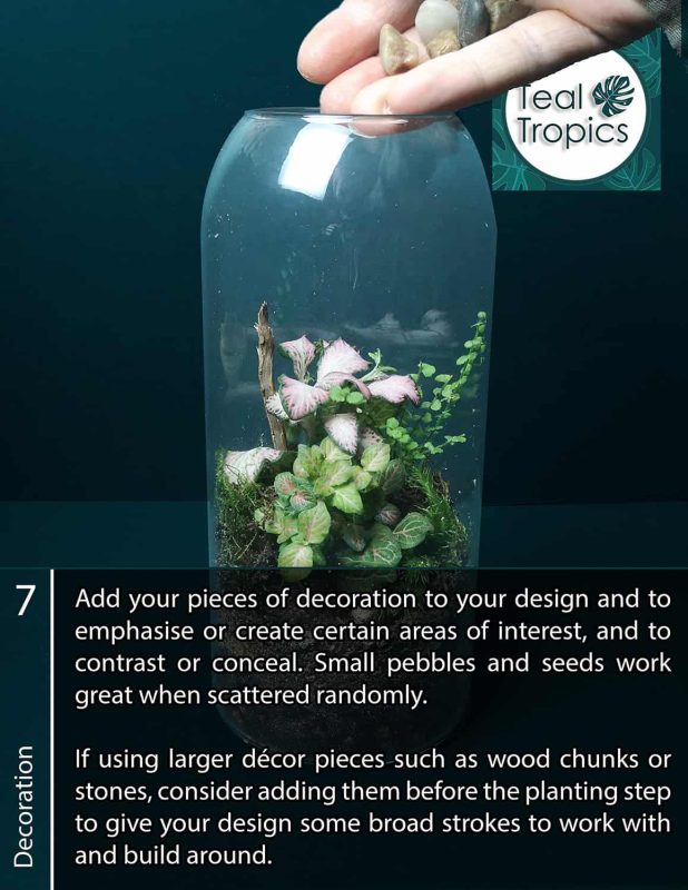 Glass terrarium with small plants and decorative stones for interior design.