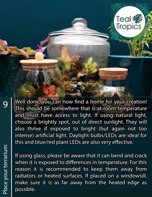 Home creation with terrariums and glass displays.